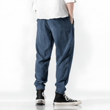 Ramiro | Pantaloni in velluto moderno