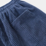 Ramiro | Pantaloni in velluto moderno